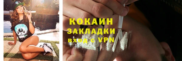 винт Абаза