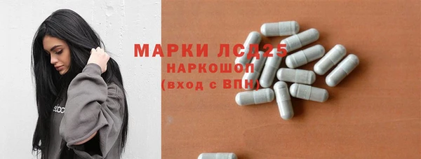 винт Абаза