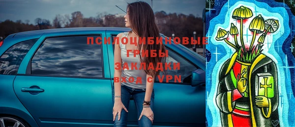 винт Абаза