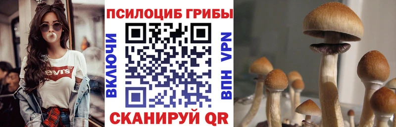 Псилоцибиновые грибы прущие грибы  Цоци-Юрт 